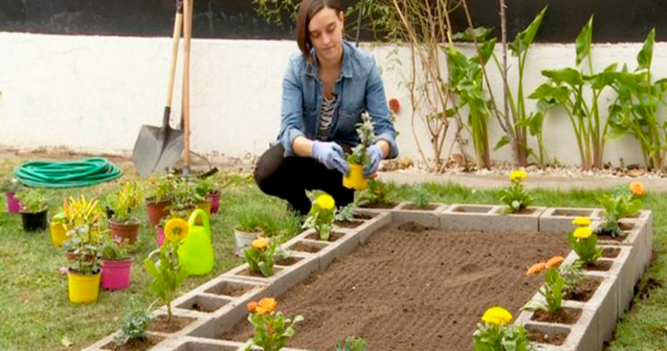 ¿Qué se estudia para ser jardinero?