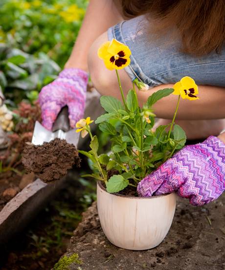 Segunda imagen del Landing Page: "Servicio de jardinería en Santiago de Chile" de la empresa Servicios Costa Verde