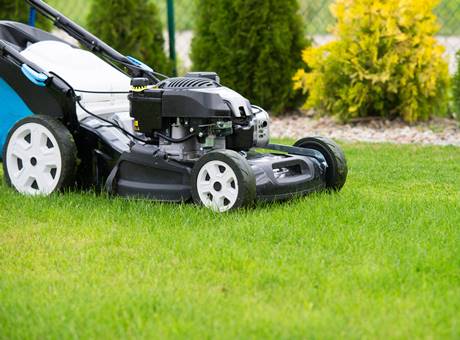 Otra imagen utilizada para el landing page de Servicio de jardinería en Santiago de Chile para Servicios Costa Verde